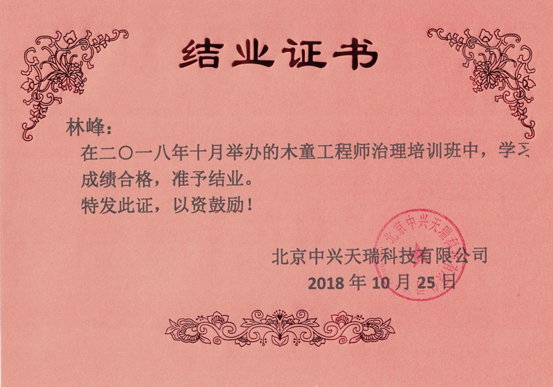 林峰-木童工程師檢測與治理服務(wù)高級培訓(xùn)證書.jpg